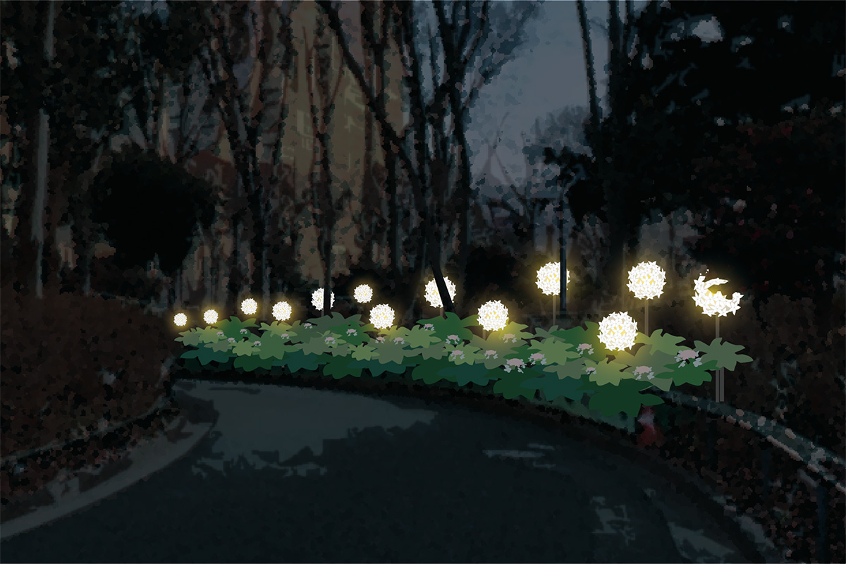 Hydrangea Lights